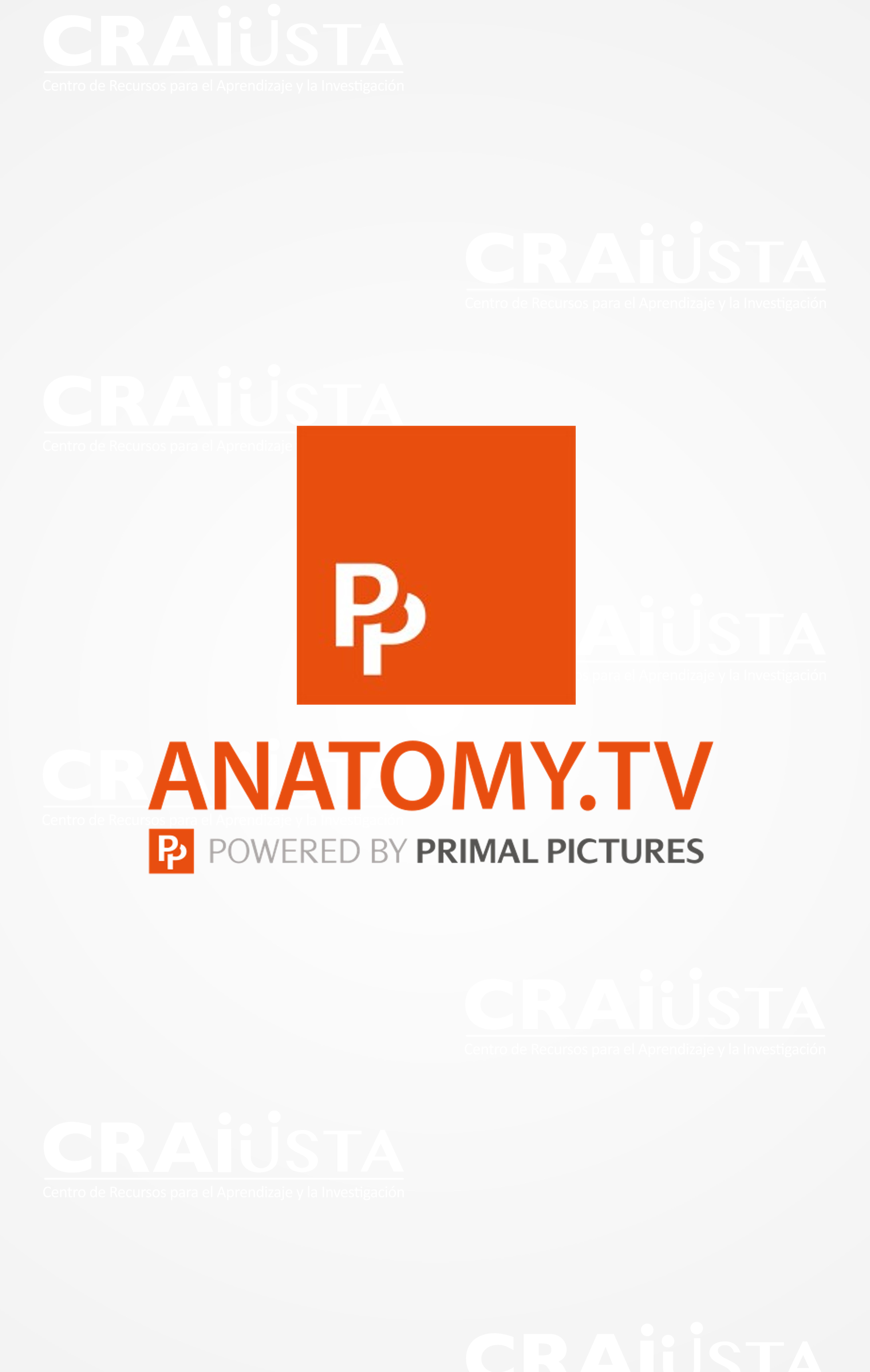Presenta modelos 3D, imágenes y disecciones de la anatomía humana.