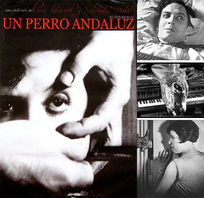 Un perro andaluz1